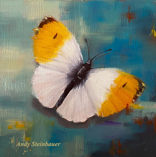 Butterfly VII, oil painting, Andy Steinbauer