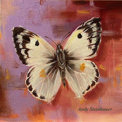 Butterfly, oil painting, Andrea Steinbauer